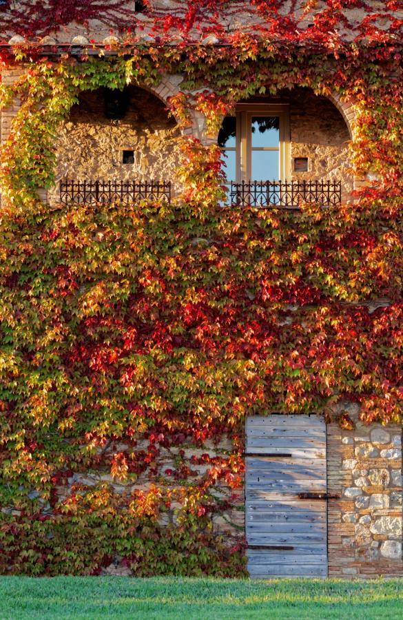 Bed and Breakfast Relais Sant'Elena Bibbona Exterior foto